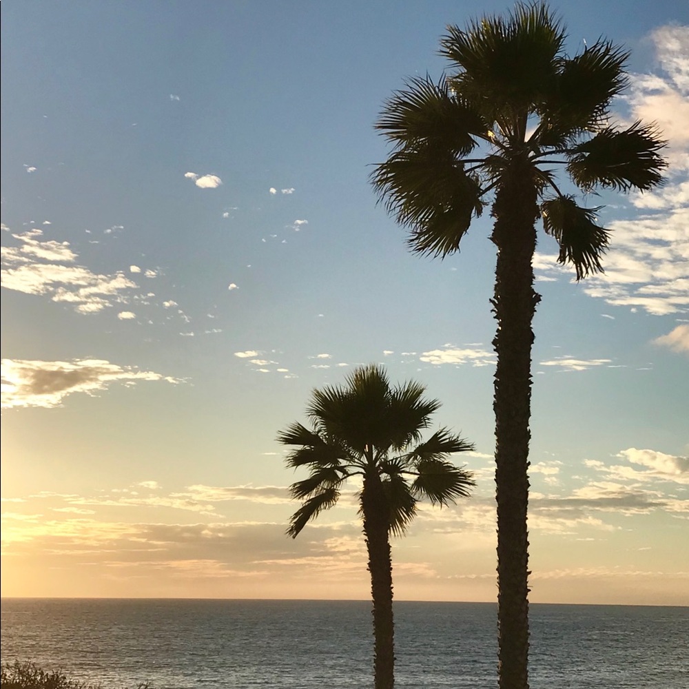 Meet your Posher, Josiejosie